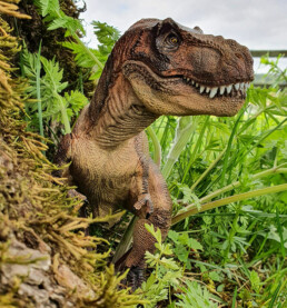Tyrannosaurus rex figur i gress