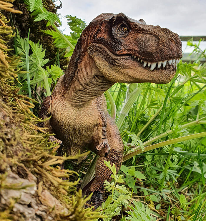 Tyrannosaurus rex figur i gress